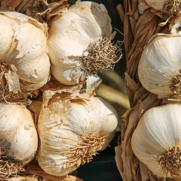 Garlic Inclusions(per loaf)